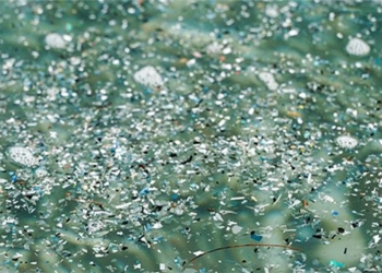 research new discovery plastic particles interfering with disease seeds 132490