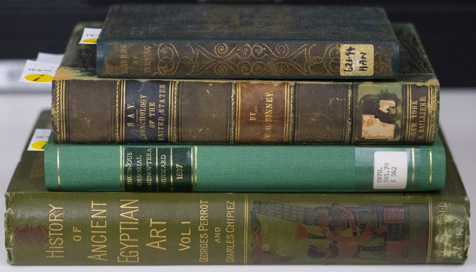 The killer aspect of these books lies in their covers.