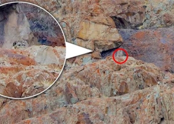 snow white painting may be increased in front of camera lens and human eye 131569