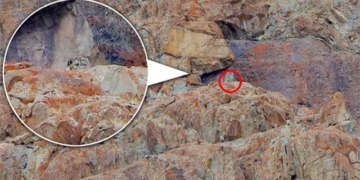 snow white painting may be increased in front of camera lens and human eye 131569