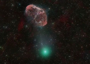 star playing demon green leaf tree creates vanity when it falls to the left of the earth 132328