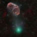 star playing demon green leaf tree creates vanity when it falls to the left of the earth 132328