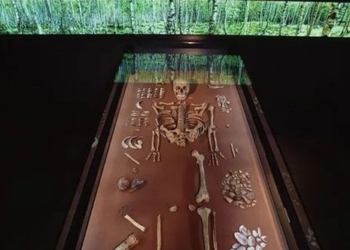 strong new move to make legal claims and raise newborns about 9 000 years ago 131590
