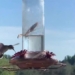 stunning video of a snake catching a frog in the blink of an eye 131665