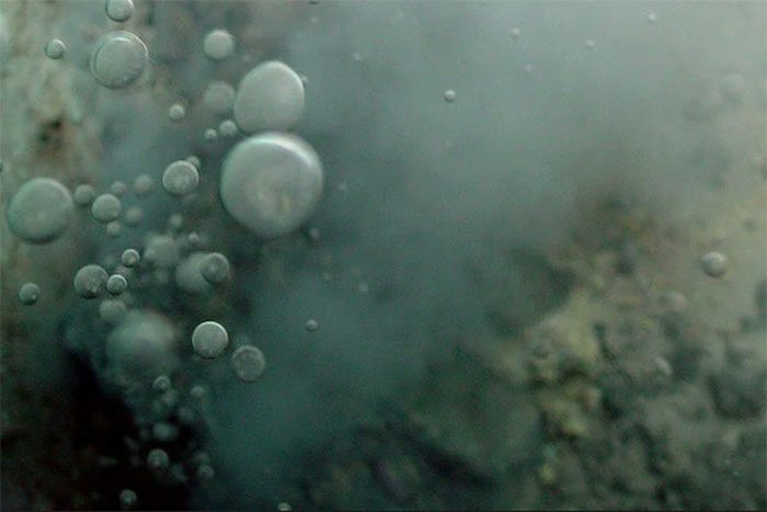 The origin of life on Earth may have begun from... hot springs.