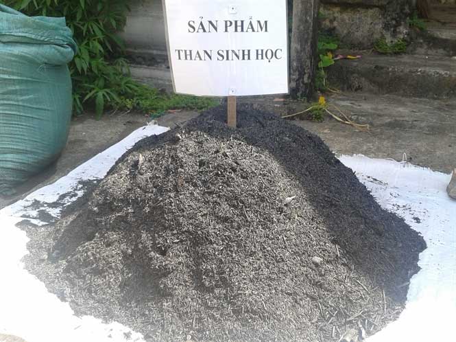 Biochar