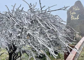 the coldest place in vietnam is not fansipan or sa pa this spot is less than 200km from hanoi 131546
