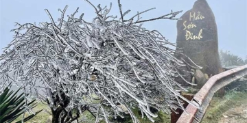 the coldest place in vietnam is not fansipan or sa pa this spot is less than 200km from hanoi 131546
