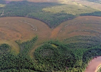 the longest cannon in the world revealed in a mysterious region of russia 131564