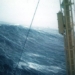 the most dangerous coastline in the world haunting the dreams of mangrove forests 108247