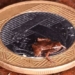the smallest frog smaller than a human fingertip may be the smallest bony vertebrate in the world 133351