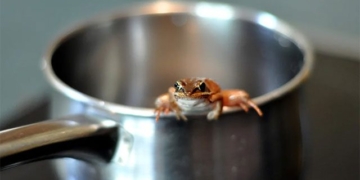 the truth about the story of the slimy frog 132076