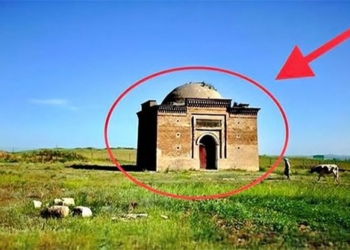the wooden building among experts discovering unique hidden treasures in the ground related to 131678