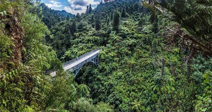 Mangapurua Valley