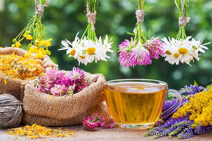 In addition to warm water, you can drink herbal tea when you have a cold or flu to recover faster