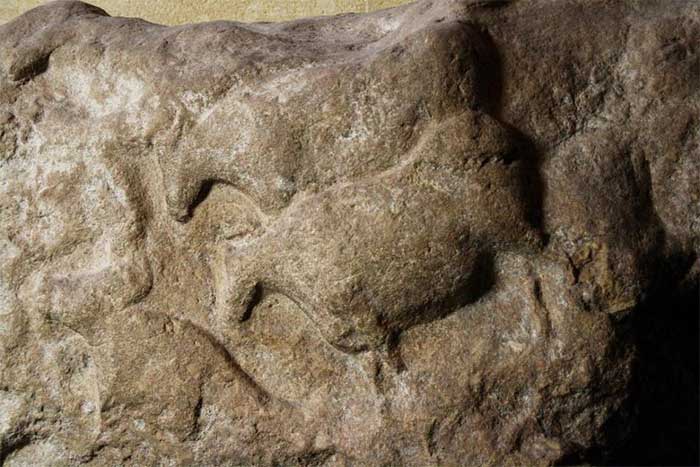 The European aurochs depicted in Paleolithic cave paintings.