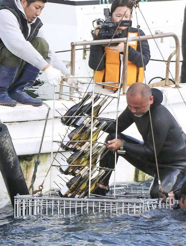 Wine bottles being submerged for aging in the Oshima Strait