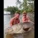 video two young men catch a catfish weighing over 270kg 132563