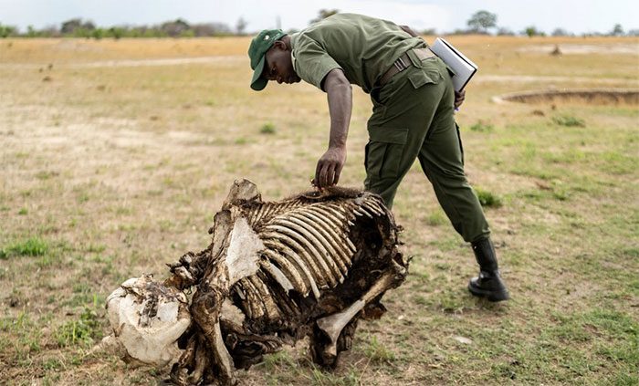Drought has affected several countries in Southern Africa