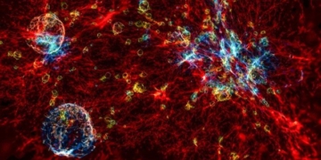 we are the neurons of the universe a creative theory revealing the mysteries of the universe and the brain 132413