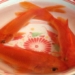 why cousin ong cong ong tao only threw the catfish 77828