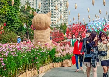 why the tet holidays always pass so fast 132669