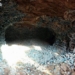 workers at construction site discover more than 2000kg of decomposed bodies in green chain