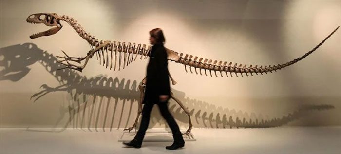 Paleontologists believe Megalosaurus walked on two legs.