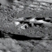 2 200 thousand tons of metal on the other side of the black moon from where 129845