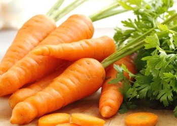 3 types of herbs that harvard medical doctors are sure are enemies of colorectal cancer and obesity 129471