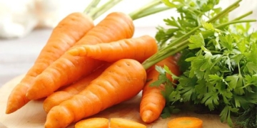 3 types of herbs that harvard medical doctors are sure are enemies of colorectal cancer and obesity 129471
