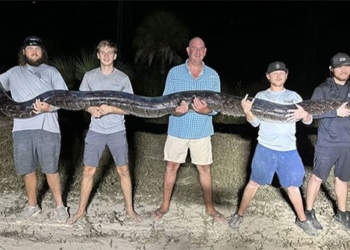 5 adults catch giant monster weighing 90kg 131001