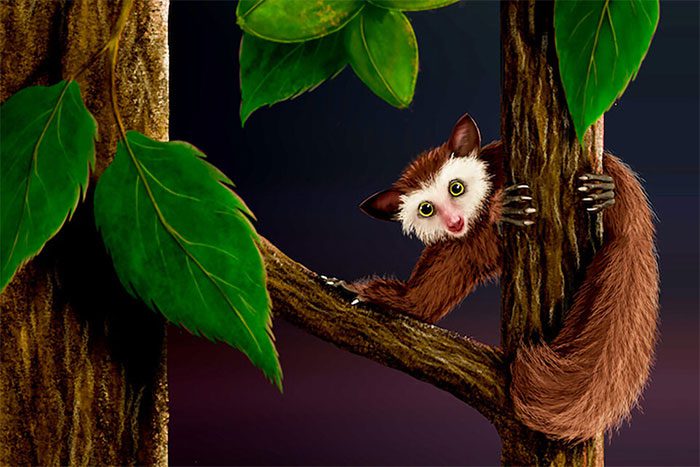 "Imaginary portrait of the distant relative Ekgmowechashala"