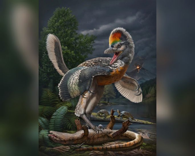  "The bird of Fujian" reimagined by scientists 