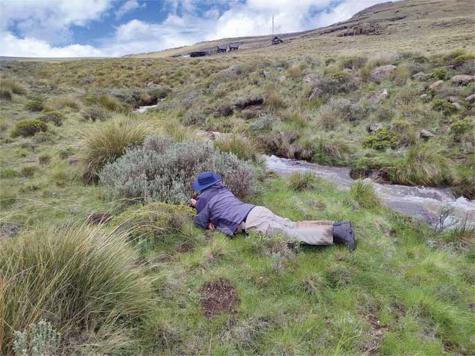 John Midgley collecting data at Afriski Mountain.