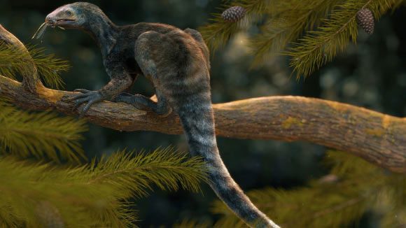 This is a highly agile creature