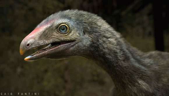 Venetoraptor gassenae