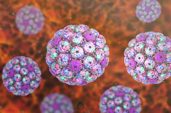 Coxsackievirus A24