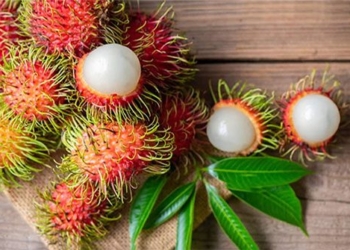 a rare fruit is a natural cancer fighting cleanser commonly found in vietnam 130560
