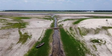 amazon song urgent need to address serious climate change situation 131143