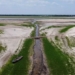 amazon song urgent need to address serious climate change situation 131143