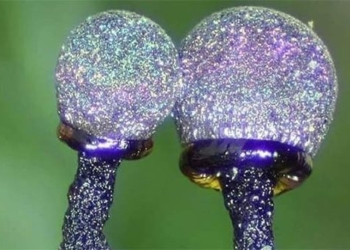 amethyst is one of the most beautiful gemstones in the world 130585