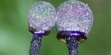 amethyst is one of the most beautiful gemstones in the world 130585