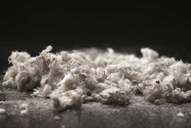 Asbestos enters the body and causes harm primarily through the respiratory system