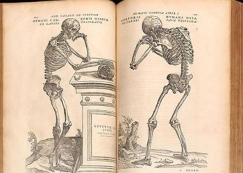 andreas vesalius sleepy in love anatomy 129400