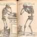 andreas vesalius sleepy in love anatomy 129400