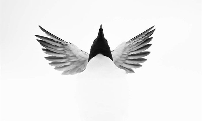 Rachel Bigsby won an award with her series "Angels".
