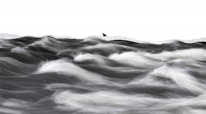 Stefan Gerrits' work 'Looking at the River'.