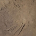 announcement of discovery of 11 mysterious underground structures and an ancient human skeleton 1 year old at tam chuc 130764