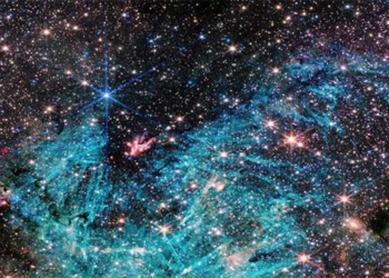 appearance of 500000 squid kids of the monster lantern near earth 131116